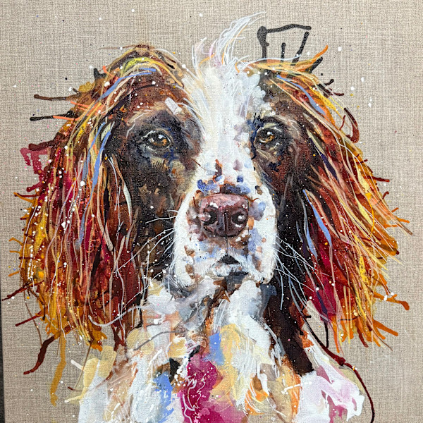 Buddy by Louise Luton