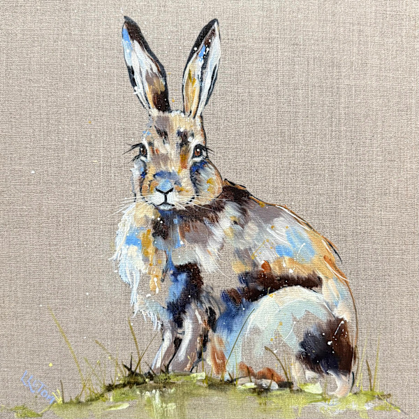 Little mountain hare by Louise Luton, Image 11.