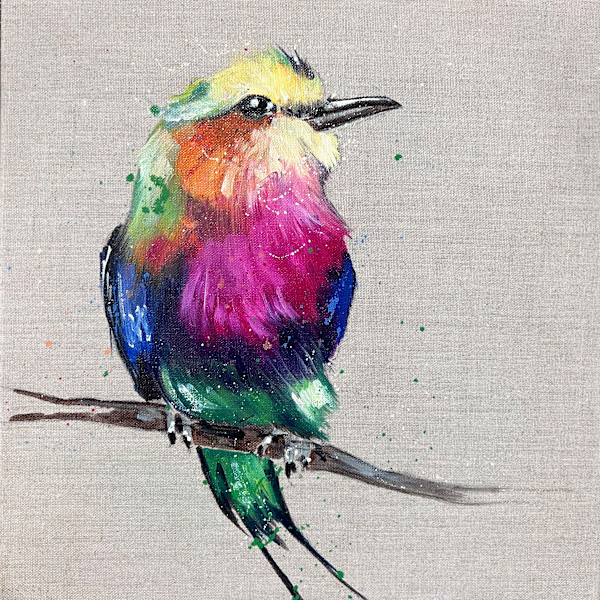 little lilac breasted roller by Louise Luton, Image 1.