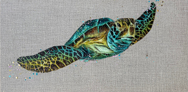 Diani turtle by Louise Luton, Image 1.