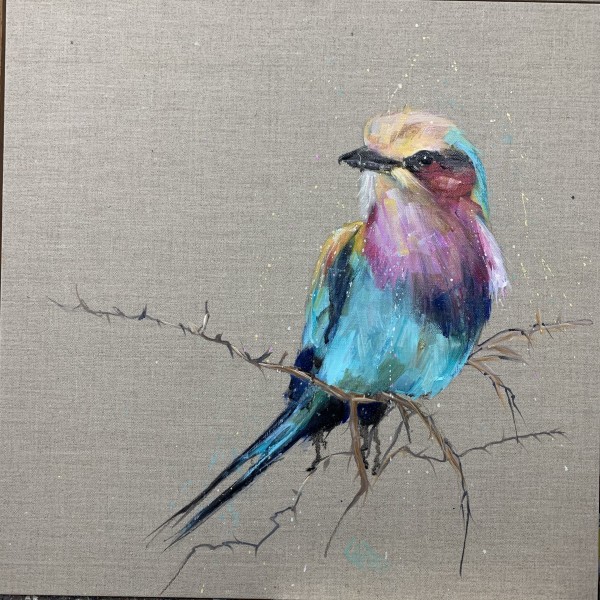 Lilac breasted roller at rest by Louise Luton