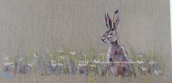 Hare in the daisies by Louise Luton