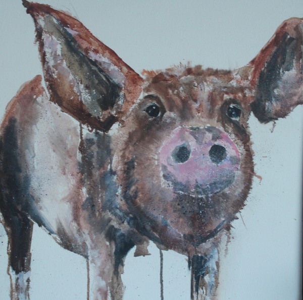 Hampshire hog by Louise Luton