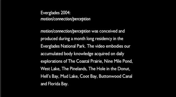 motion/connnection/perception by Tori Arpad, William Gilbert