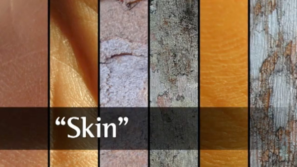 Skin by Deanna Morse