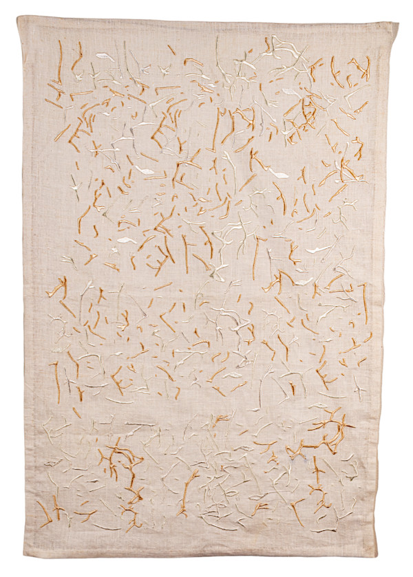 Traces of Transplantation by Sara Beth Rabinowitz
