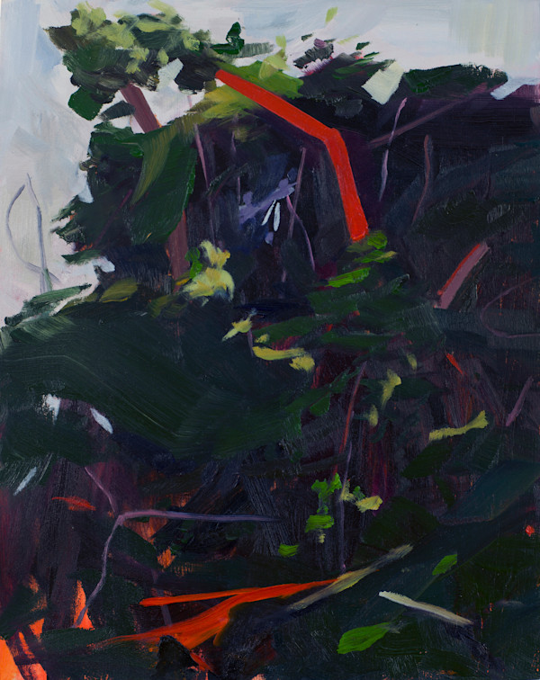 Anhinga Trail by Harumi Abe, Image 1.