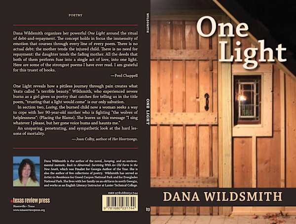 One Light by Dana Wildsmith, Image 1.