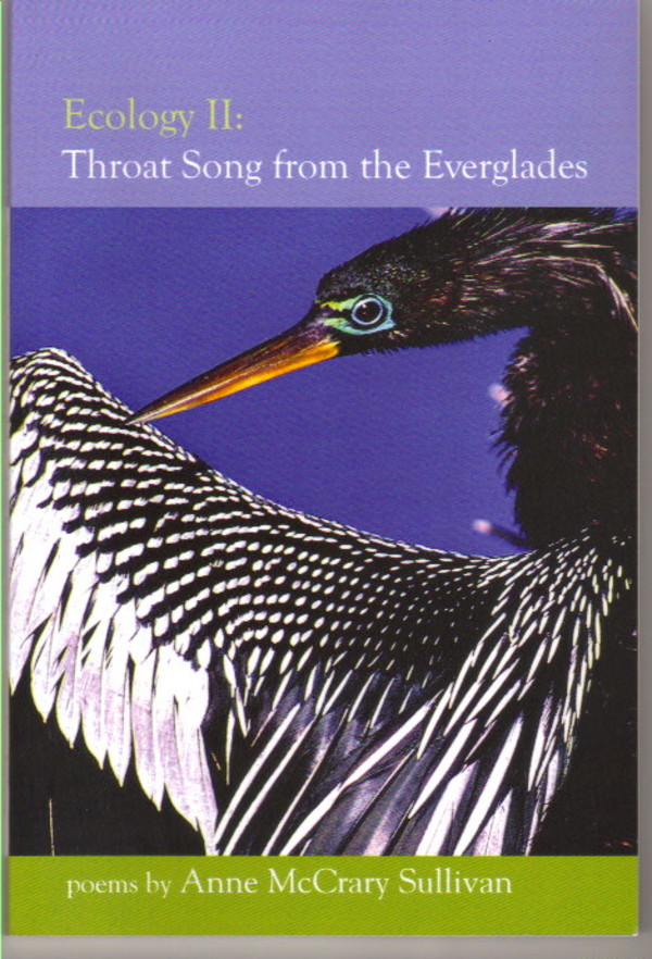 Everglades I by Anne McCrary Sullivan