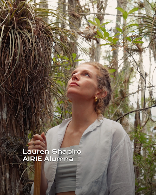 Lauren Shapiro: Nature, Community, and the Everglades in Her Art by Lauren Shapiro