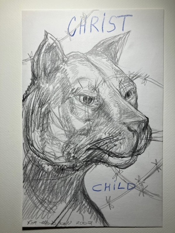 The Florida Panther Graphite by Ron Morosan