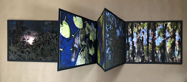 Night Watch in the Everglades by Carol Hendrickson