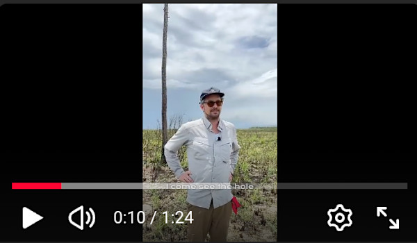 Everglades Inspiration by Nathaniel Sandler, Image 1.