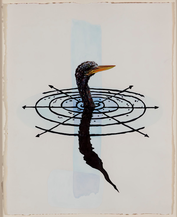 Oscellation Study (Anhinga) by Christopher Reiger