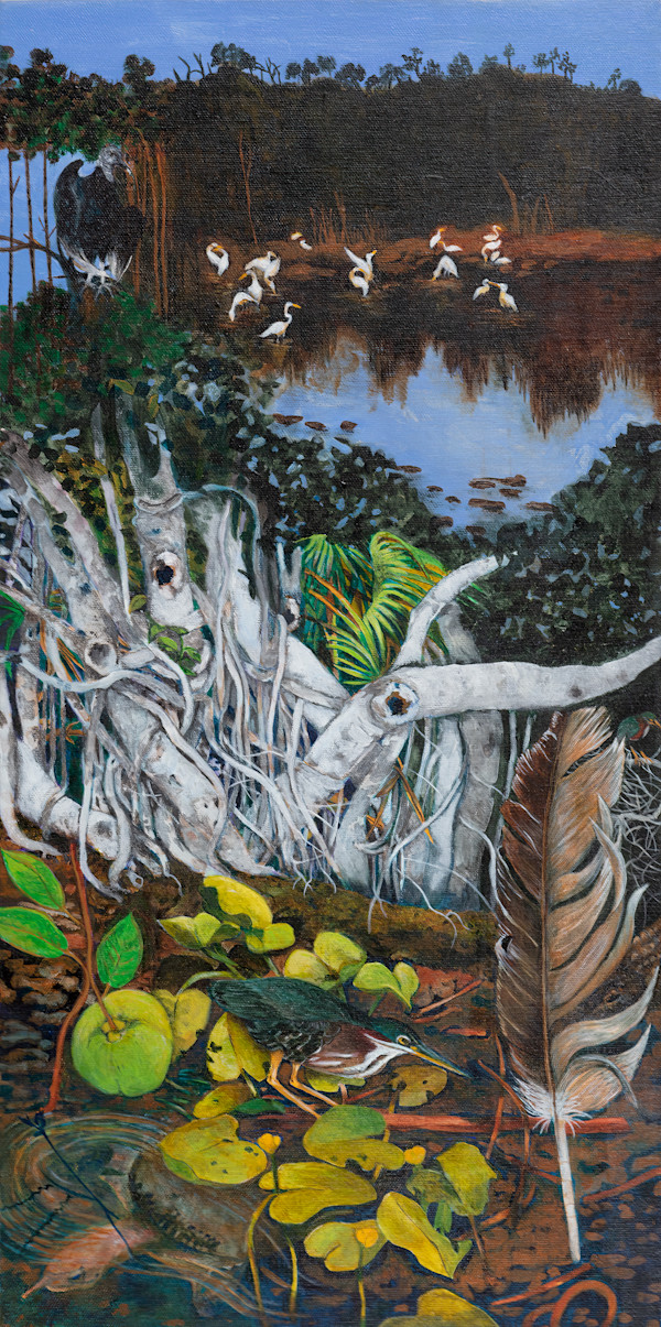 Everglades by Dian Disantis