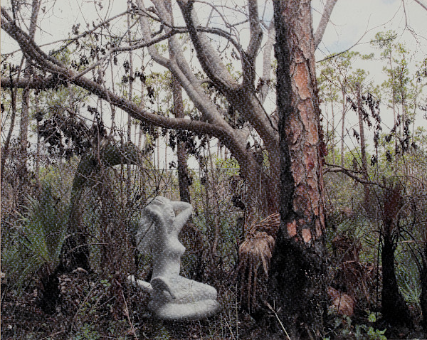 The Nature of Things by Keren Anavy, Tal Frank