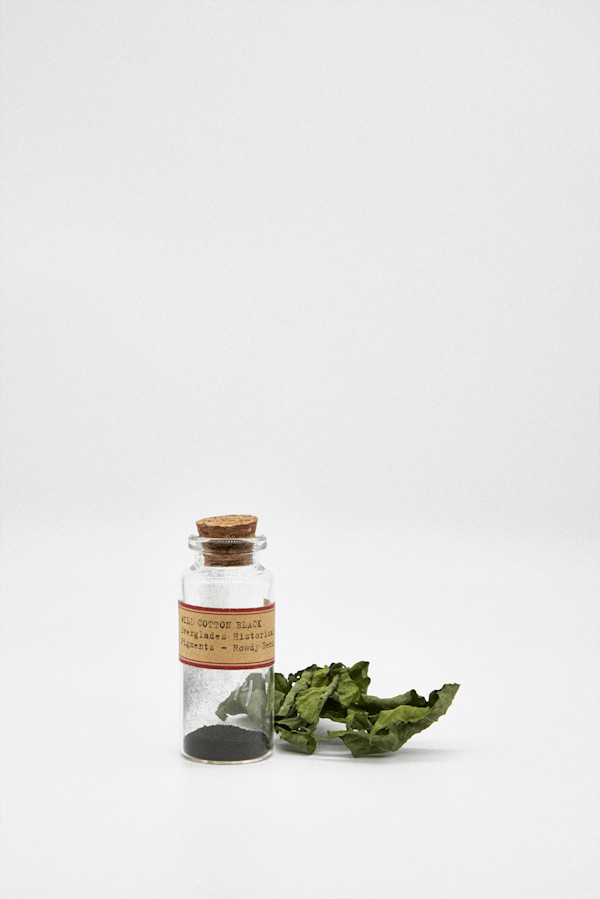Everglades Historical Pigments series by Francisco Maso, Image 1.