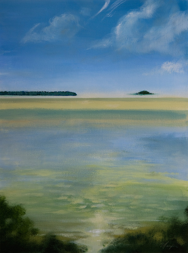 High Tide II Florida Bay by Donna Marxer