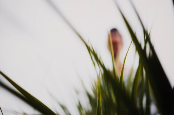 Untitled by Dale Andree