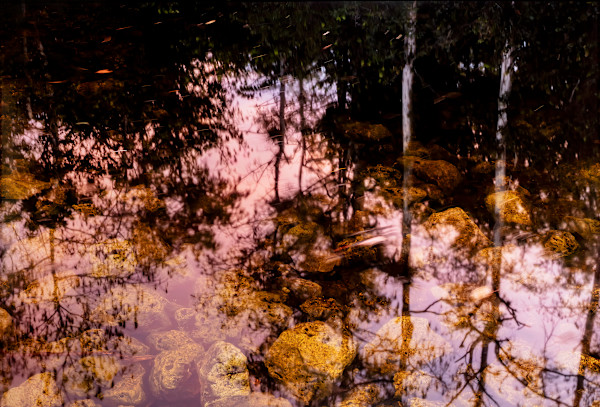 Mirrored Worlds, The Four Moments of the Sun Series by Jeanine Michna-Bales