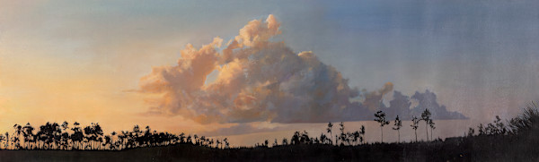 May First in Everglades by Diane E. Wilkinson
