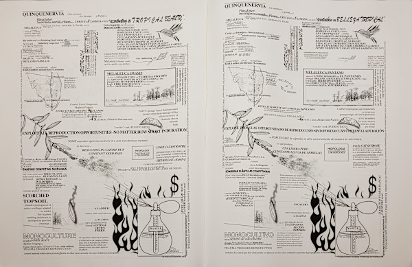 Two Field Guides to Invasive Species by Rachel Johnson