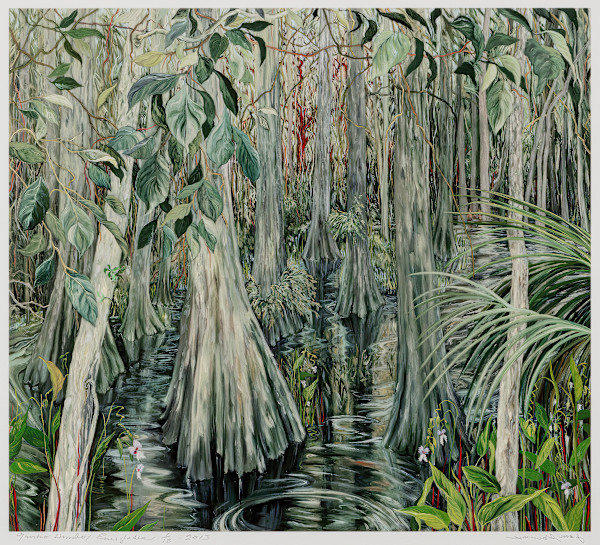Gumbo-Limbo by Jane Abrams