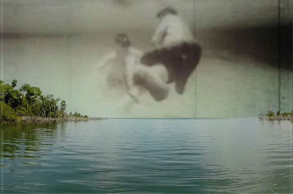 Exotic Vs. Exotic 2/5 by Valerie LeBlanc, Daniel Dugas