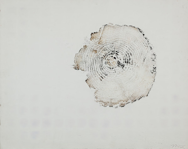 Everglades Burnt Pineland/Stump III by Nick Gilmore