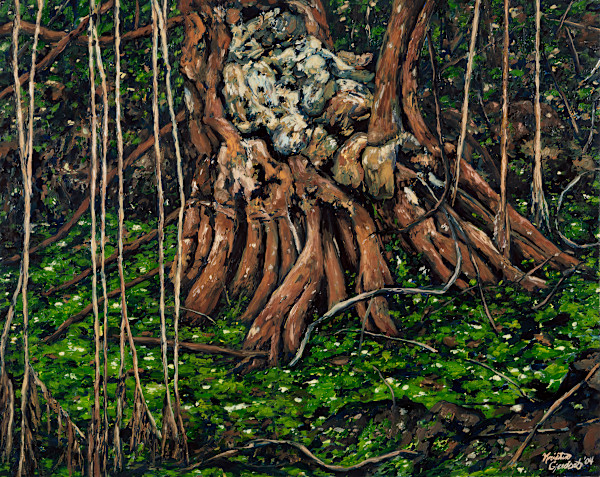 Solution Hole on Gumbo Limbo Trail by Kristin Gjerdset