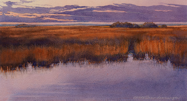 Everglades Dawn by Marilynn Brandenburger