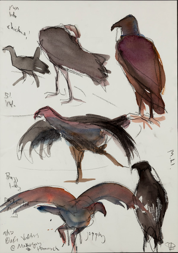 Vultures by Shannon Bueker