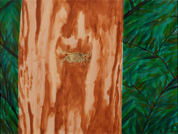 Tree Crab by Pedro Lujan