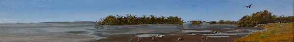 Florida Bay by Bill Brody