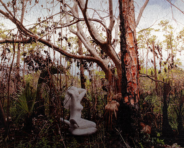 The Nature of Things by Keren Anavy, Tal Frank