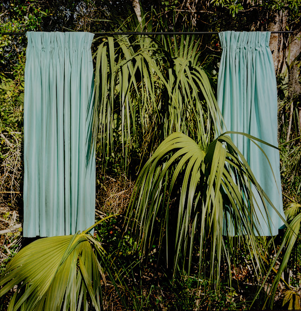 Untitled #4 from Marjory's World by Rebecca Reeve