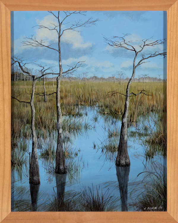 Paa-Hay-Okee by John Agnew