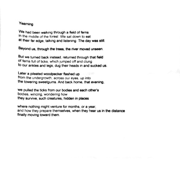 Yearning by Michael Hettich