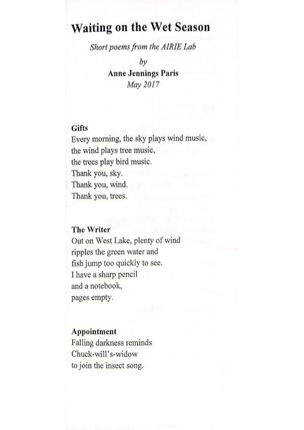 Waiting on the Wet Season by Anne Jennings Paris