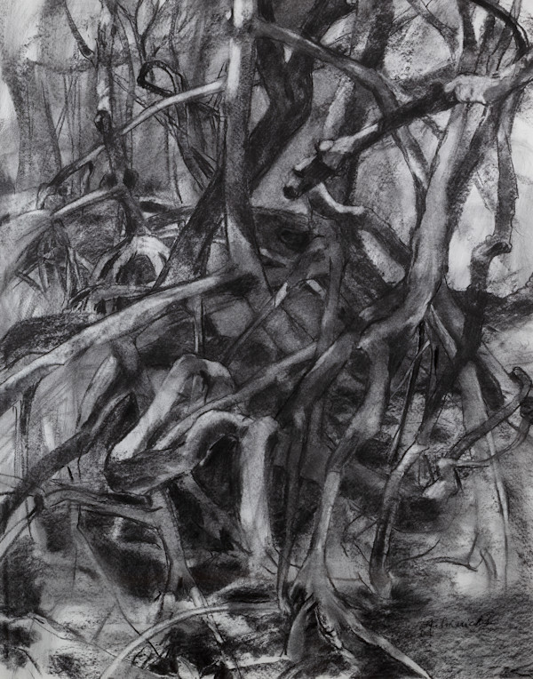 Mangrove Tangle by Annie Helmericks Louder