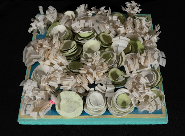 A Sketch: Study for Corals by Caroline Court