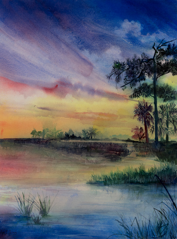 Twilight at Big Cypress by Ana I. Quirós