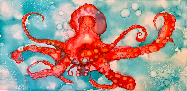 Colorful Octopus