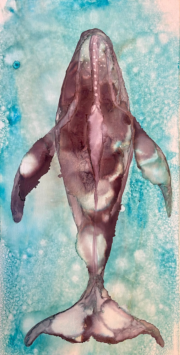 Humpback Whale