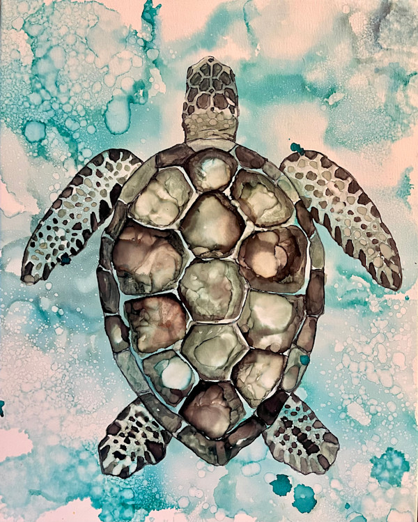 Honu in Black