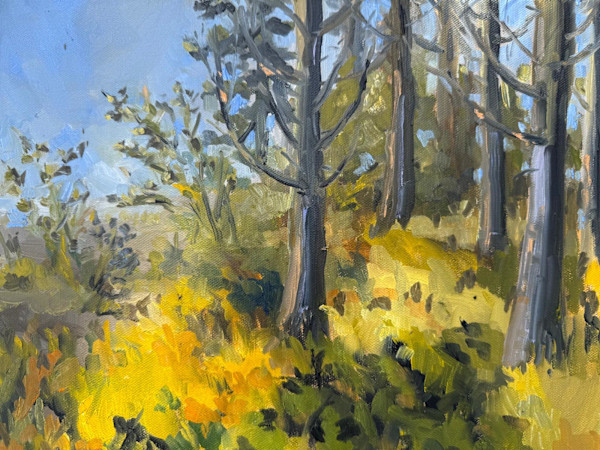 Cranberry Island Morning Plein Air by Rachel Houlihan