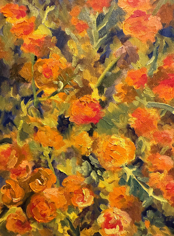 Marigolds at the Common Ground Fair by Rachel Houlihan