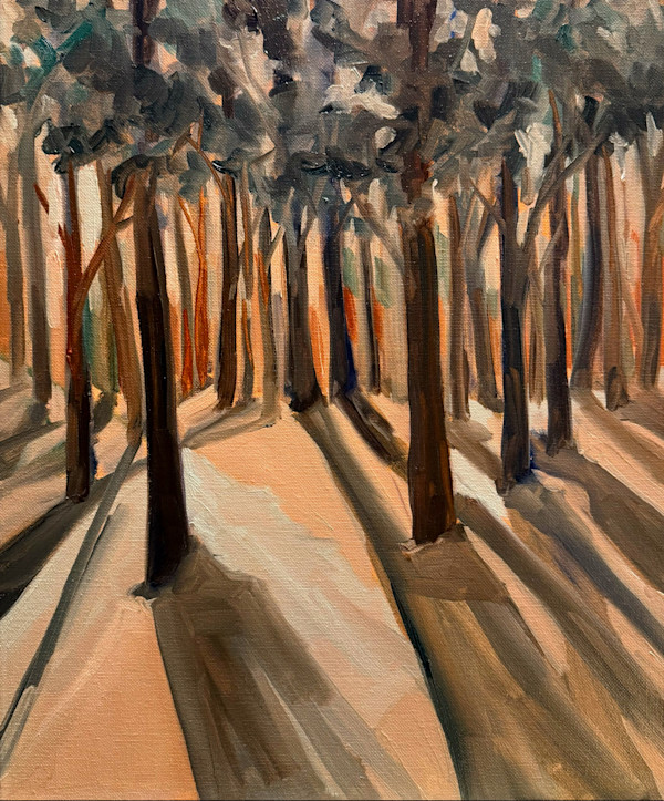 Light Through the Trees by Rachel Houlihan