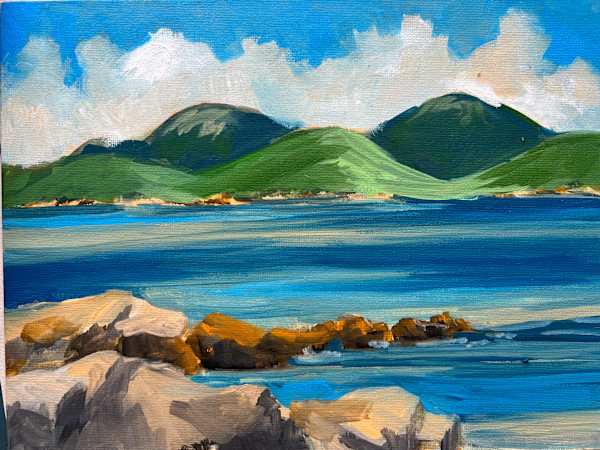 Cranberry Island II by Rachel Houlihan
