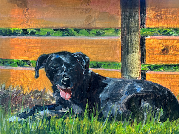 Dog Day for Morgan by Rachel Houlihan
